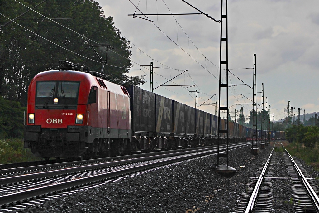 1116 255 Budaörs (2016.06.13).