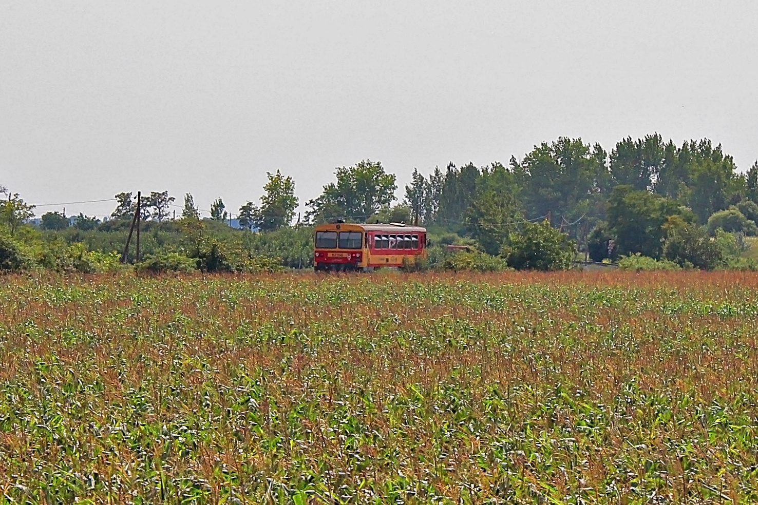 117 198 Mezőtúr (2016.07.25).02