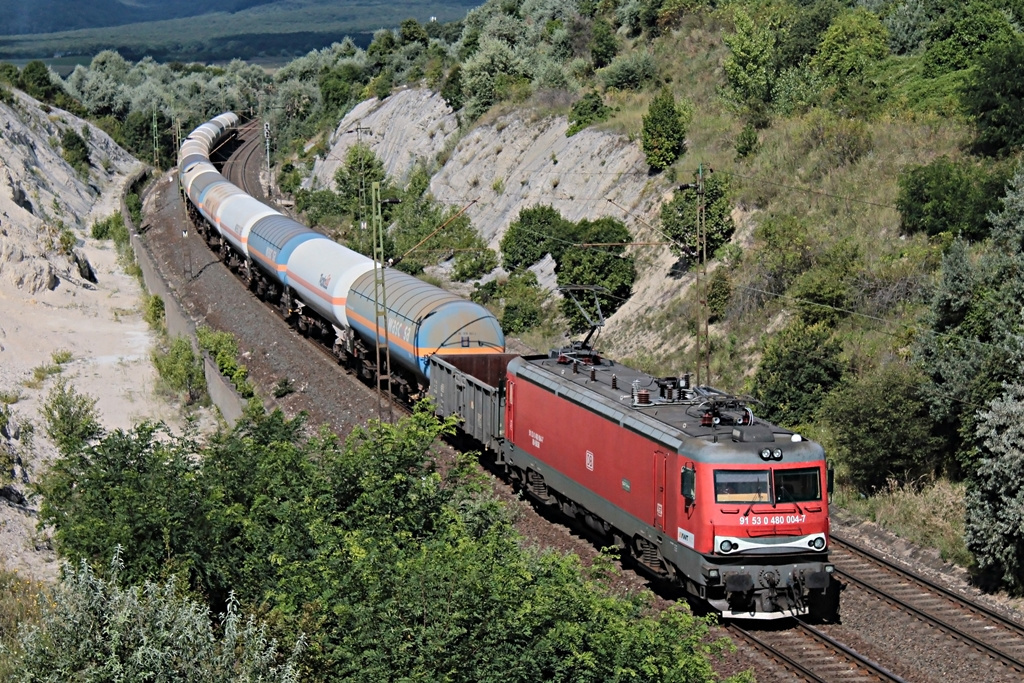 480 004 Szár (2016.08.13).