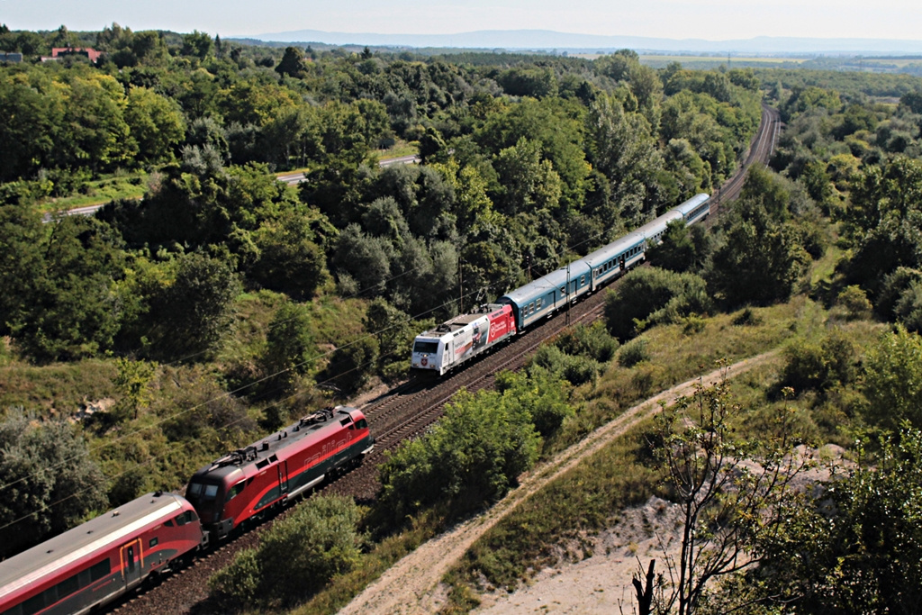 480 013 Szár (2016.08.14)