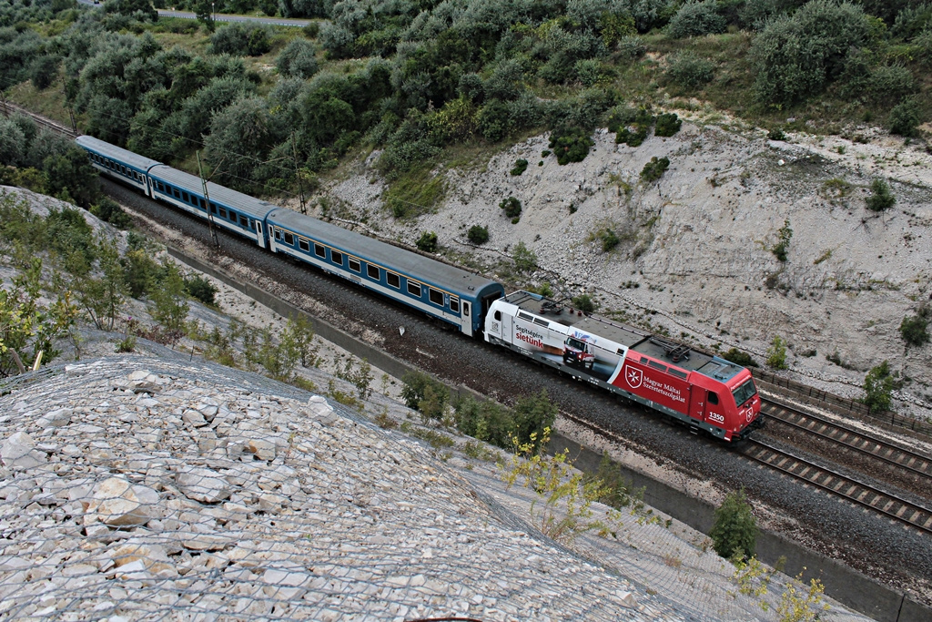 480 013 Szár (2016.08.13).01