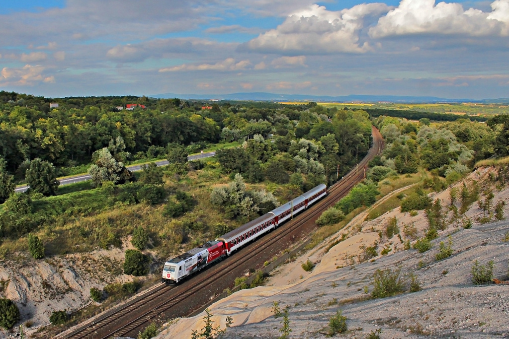 480 013 Szár (2016.08.13).02