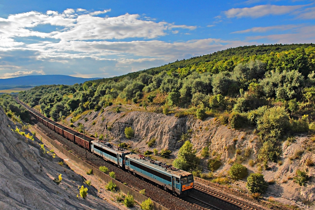 630 006 Szár (2016.08.13).