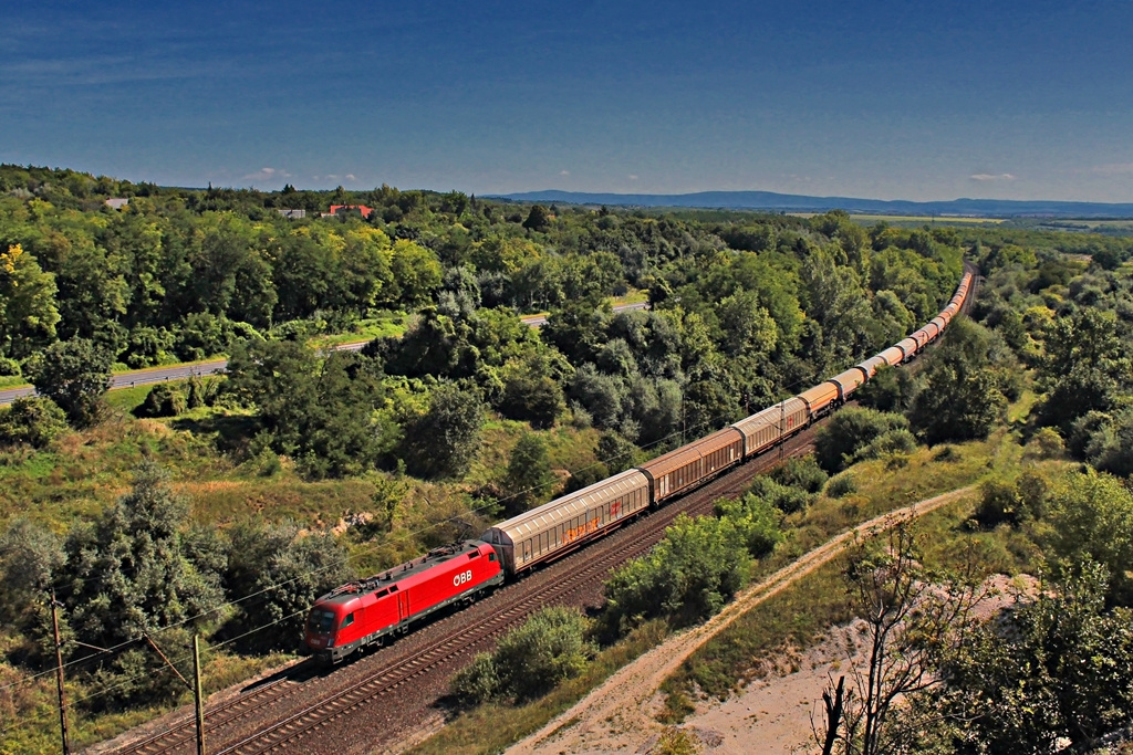 1116 021 Szár (2016.08.14)