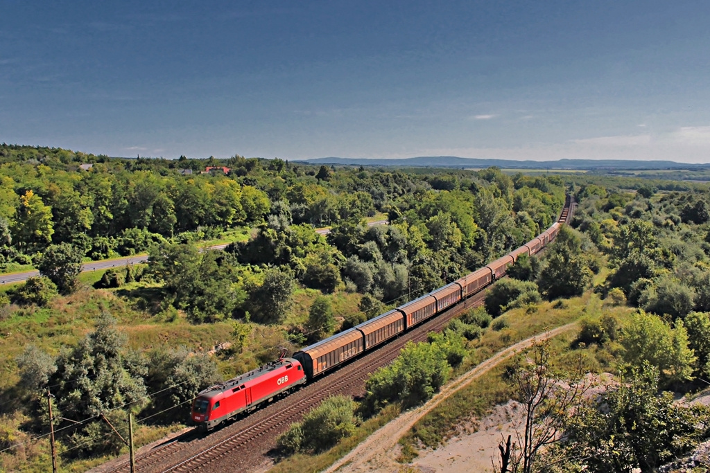 1116 063 Szár (2016.08.14)