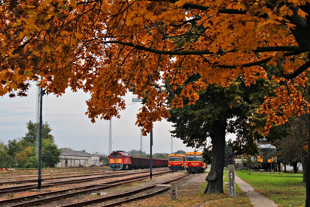 Bátaszék (2016.10.18).