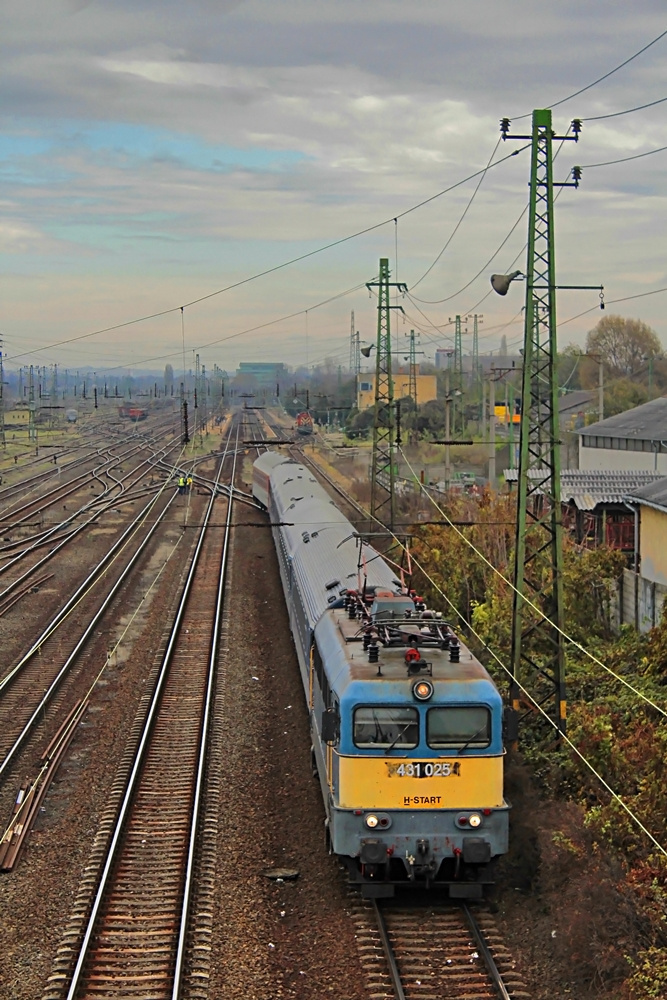 431 025 Rákos (2016.11.07).01