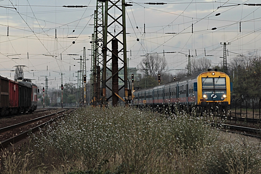 8005 430 Rákos (2016.11.07).02