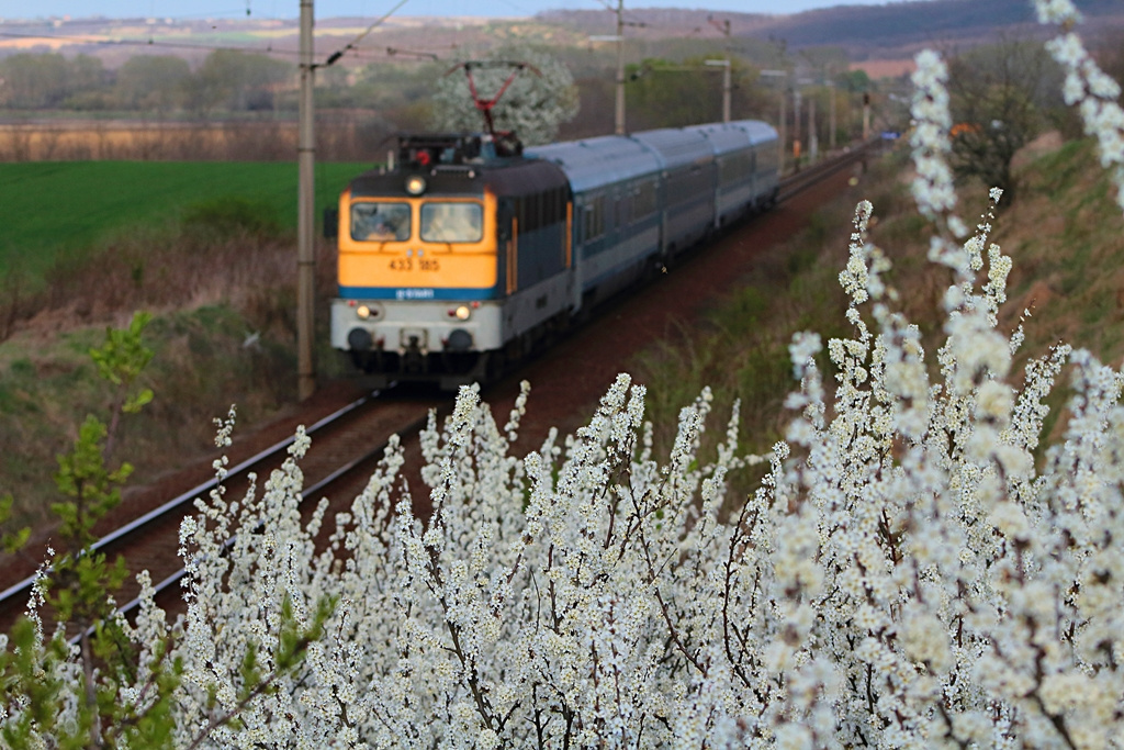 433 185 Csibrák (2017.03.30).