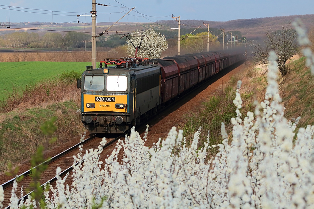 630 004 Csibrák (2017.03.30).