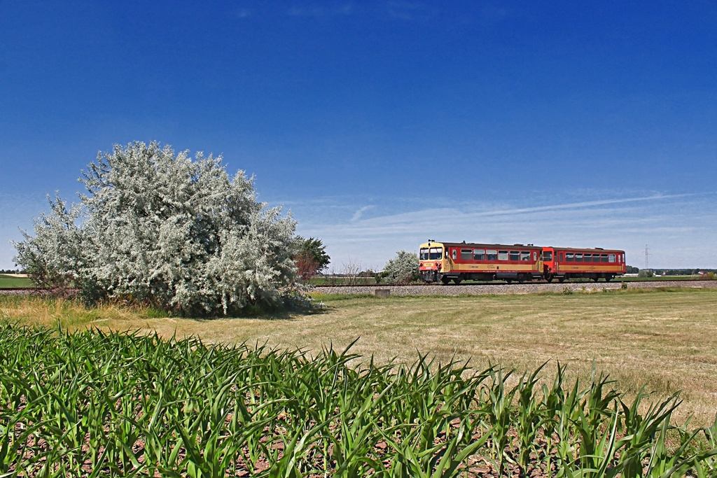 117 252 Rétszilas (2017.06.15)