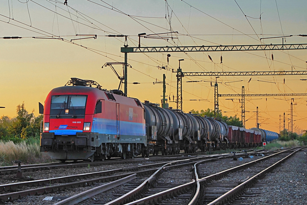 1116 009 Rétszilas (2017.06.15)