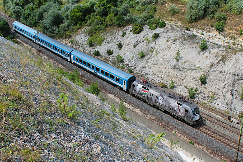 470 001 Szár (2017.07.11)02