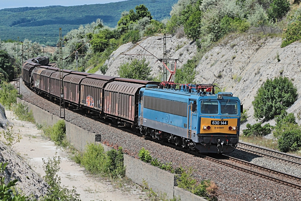 630 144 Szár (2017.07.11)01