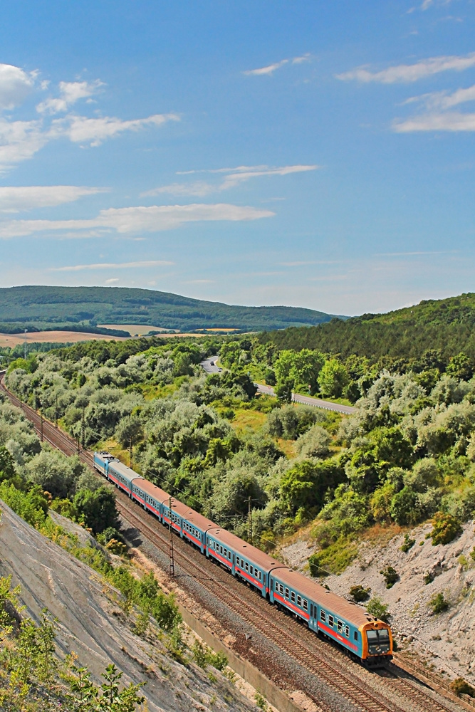 8005 445 Szár (2017.07.11)