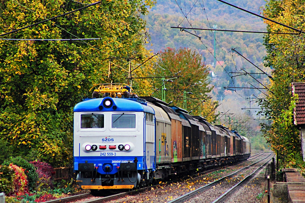 242 559 Nagymaros-Visegrád (2017.10.28)