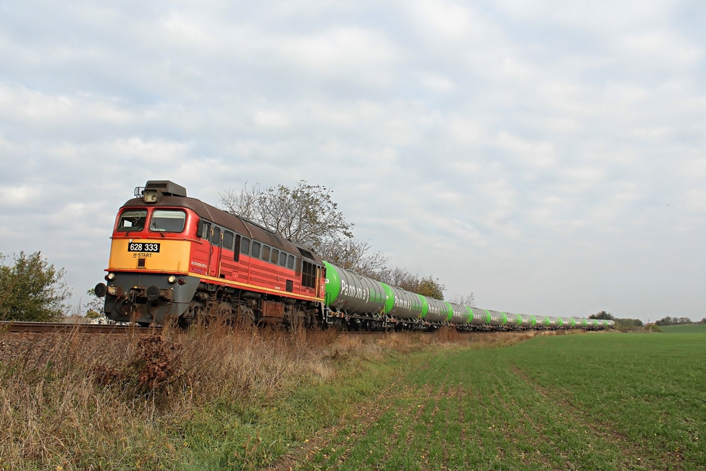 628 333 Pusztaszabolcs (2018.10.22).