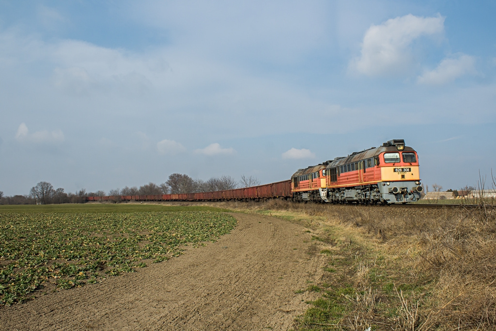 628 308+321 Pusztaszabolcs (2019.03.02)