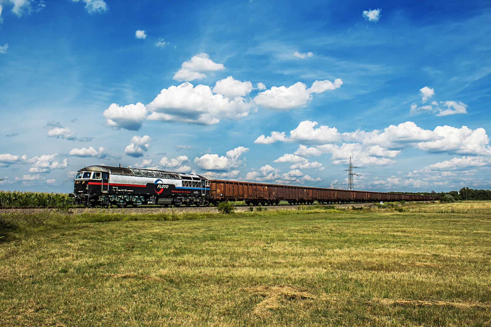 659 001 Rétszilas (2019.07.22).