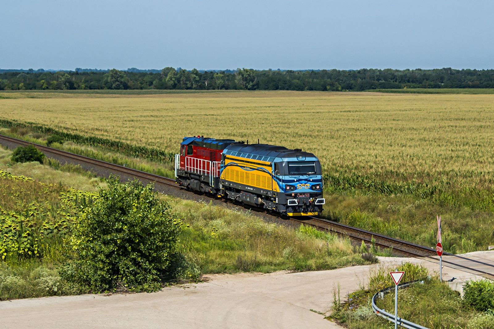 T448.119+753 609 Dunaújváros (2019.08.05)