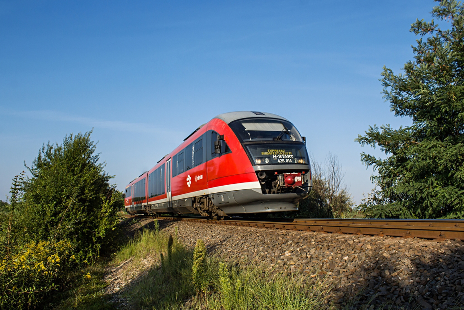 426 014 Rétszilas (2019.08.10).01