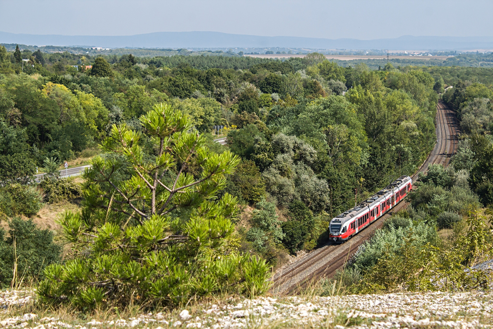 415 048 Szár (2019.08.30).