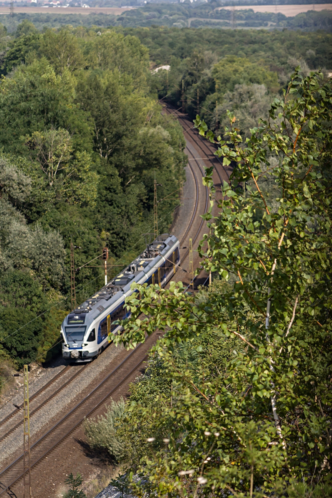 415 119 Szár (2019.08.30).