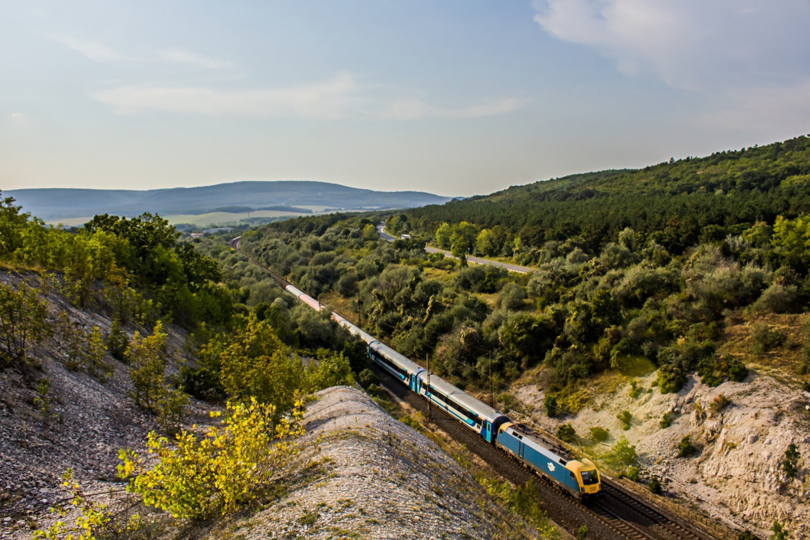 470 008 Szár (2019.08.30).