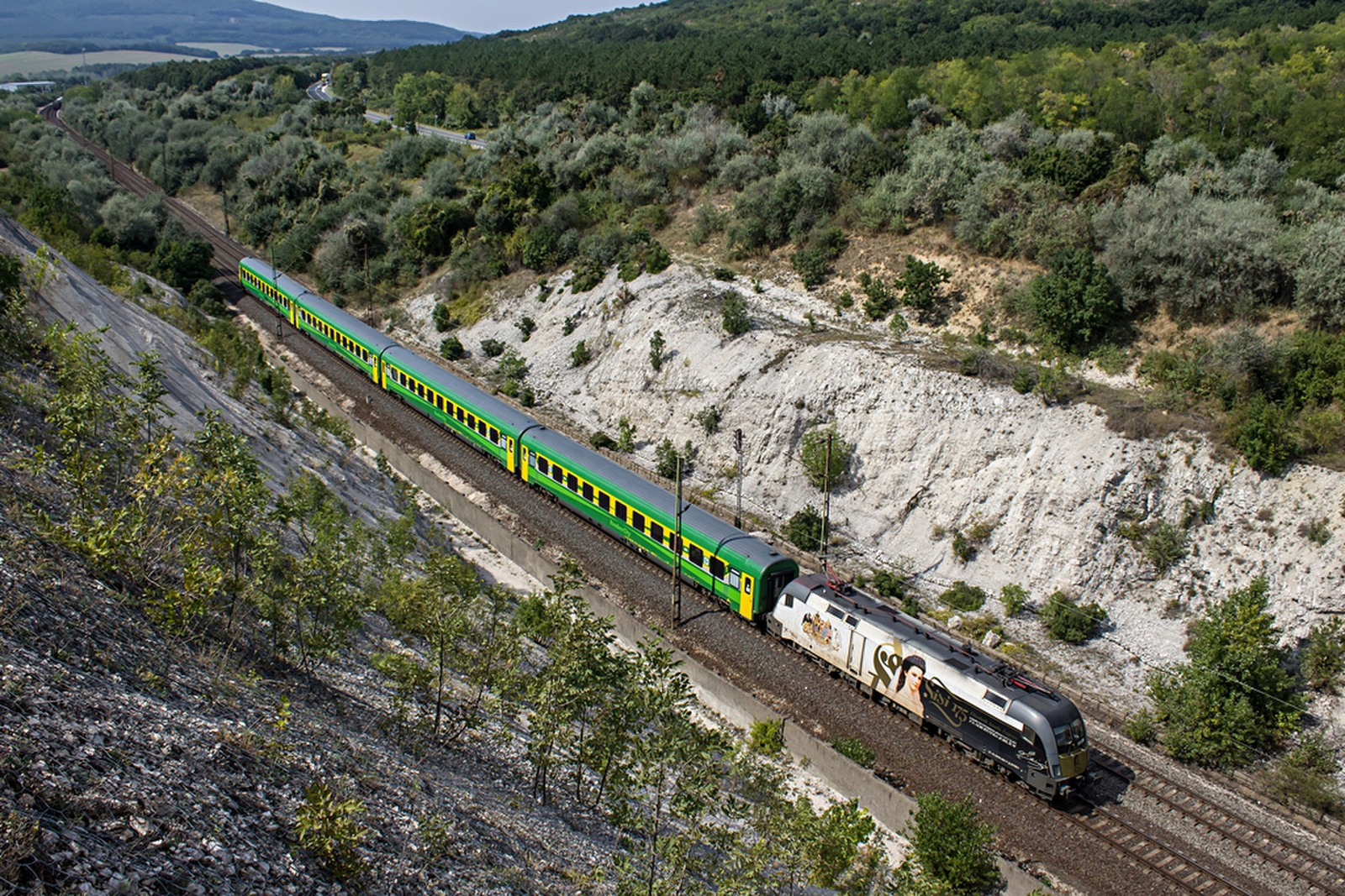 470 501 Szár (2019.08.30).