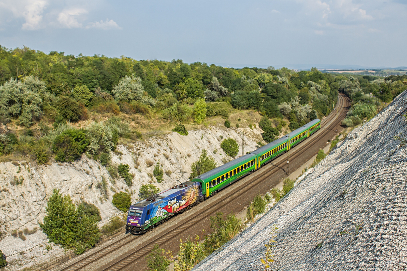 480 006 Szár (2019.08.30).02