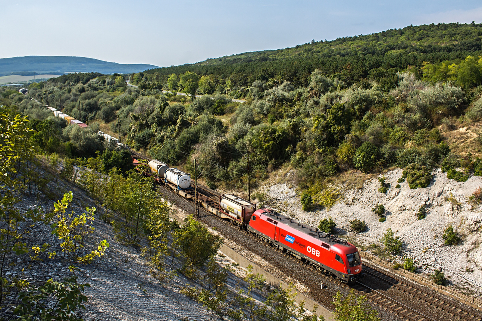 1116 012 Szár (2019.08.30).