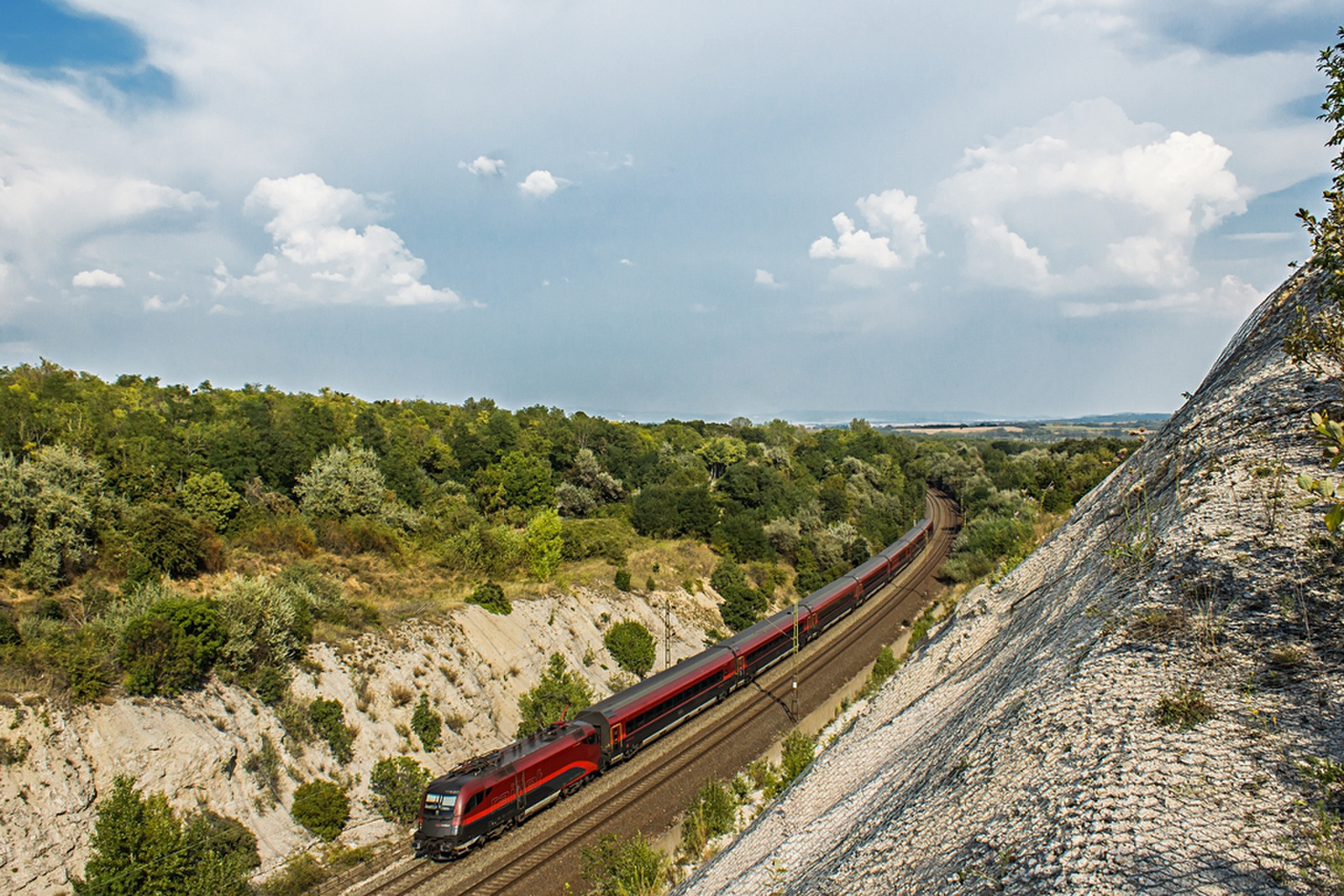 1116 217 Szár (2019.08.30).02