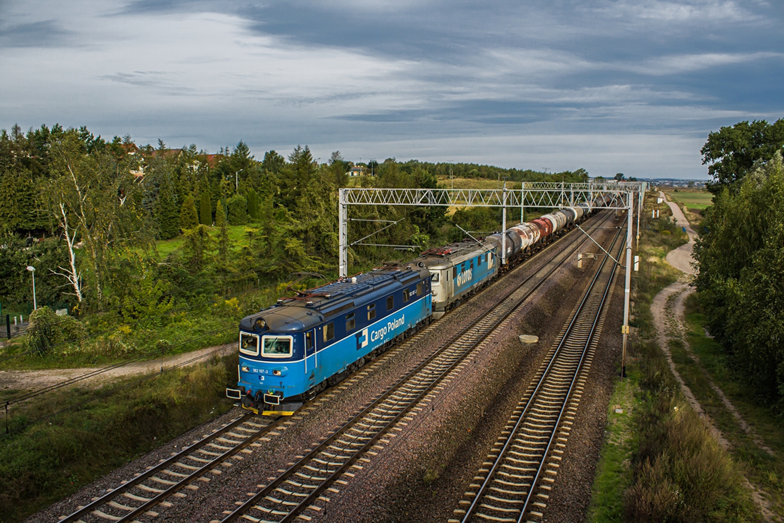 182 107+182 703 Rozyny (2019.09.15).