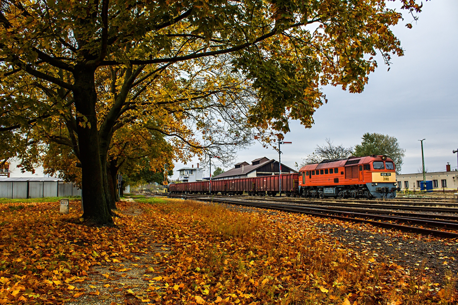 628 151 Bátaszék (2019.10.30)