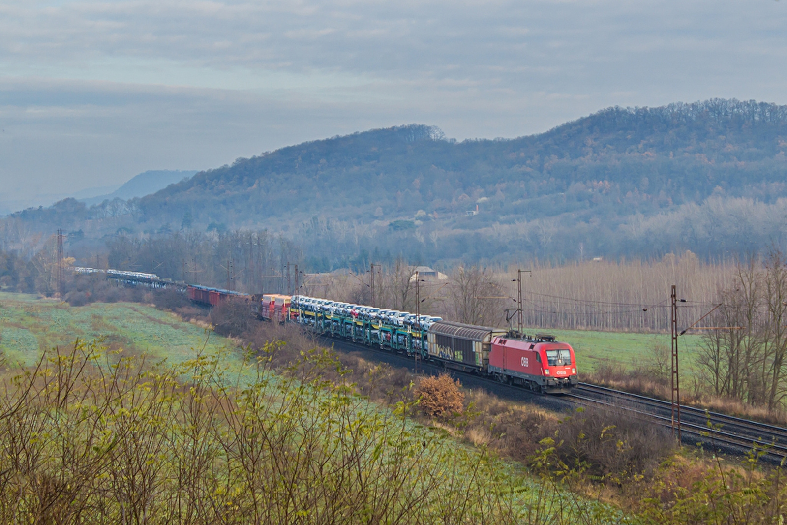 1116 031 Szárliget (2019.11.25)