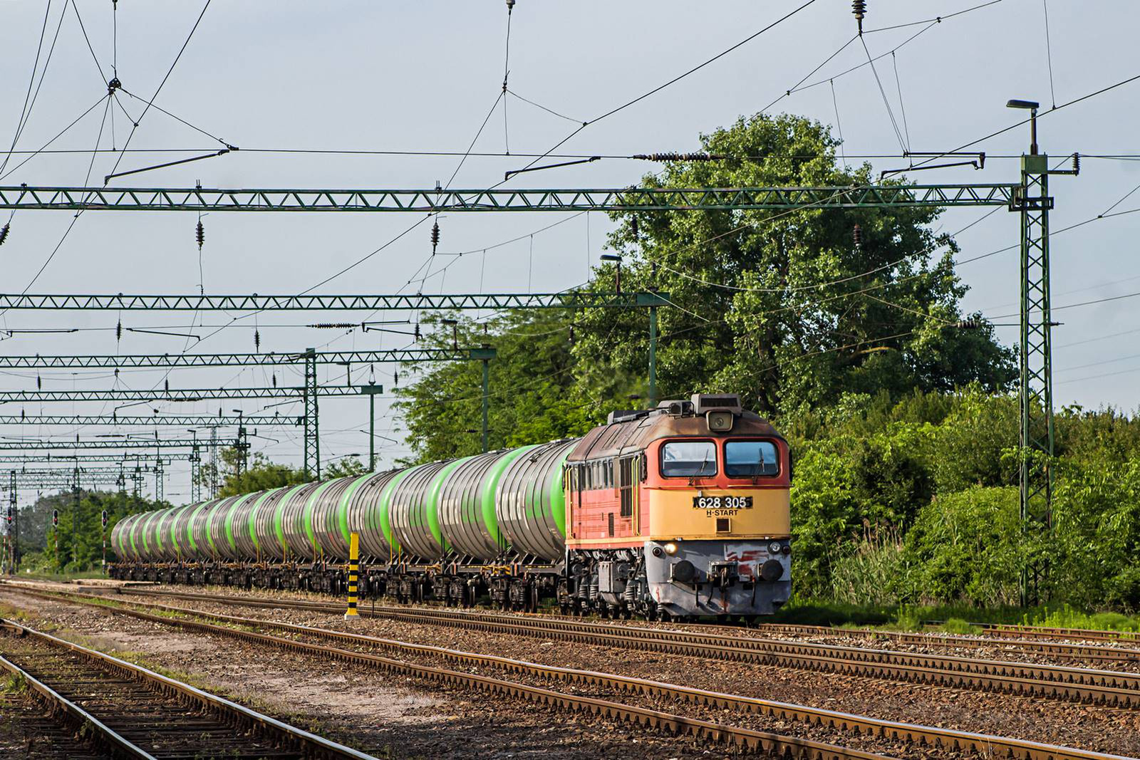 628 305 Rétszilas (2020.06.12).02