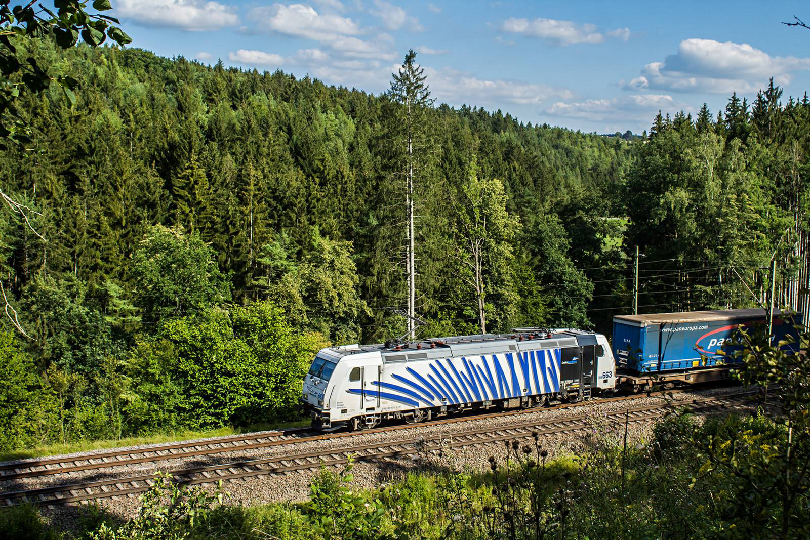 185 663 Gundelsheim (2020.08.05).