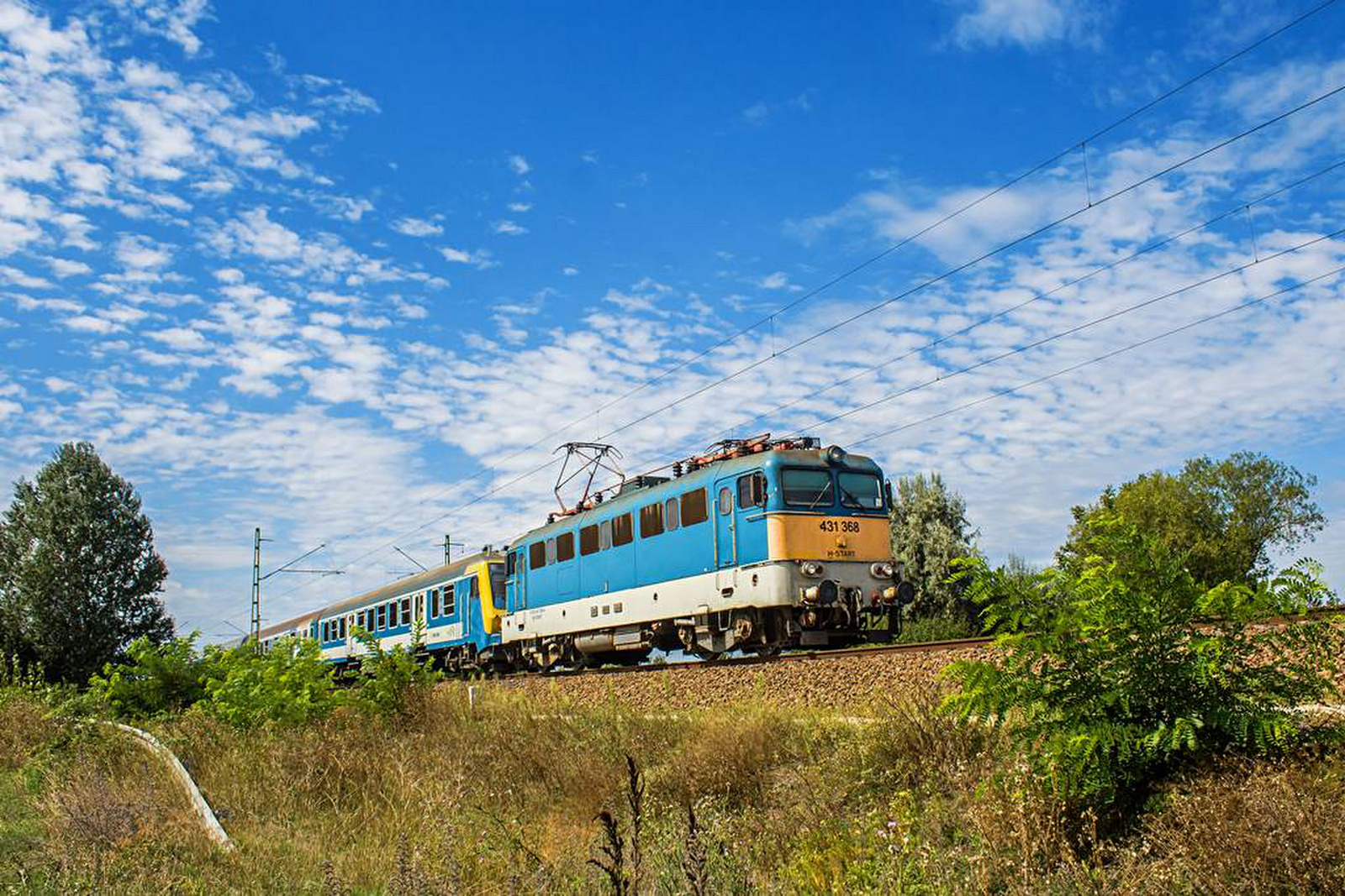 431 368 Tárnok (2020.08.24).