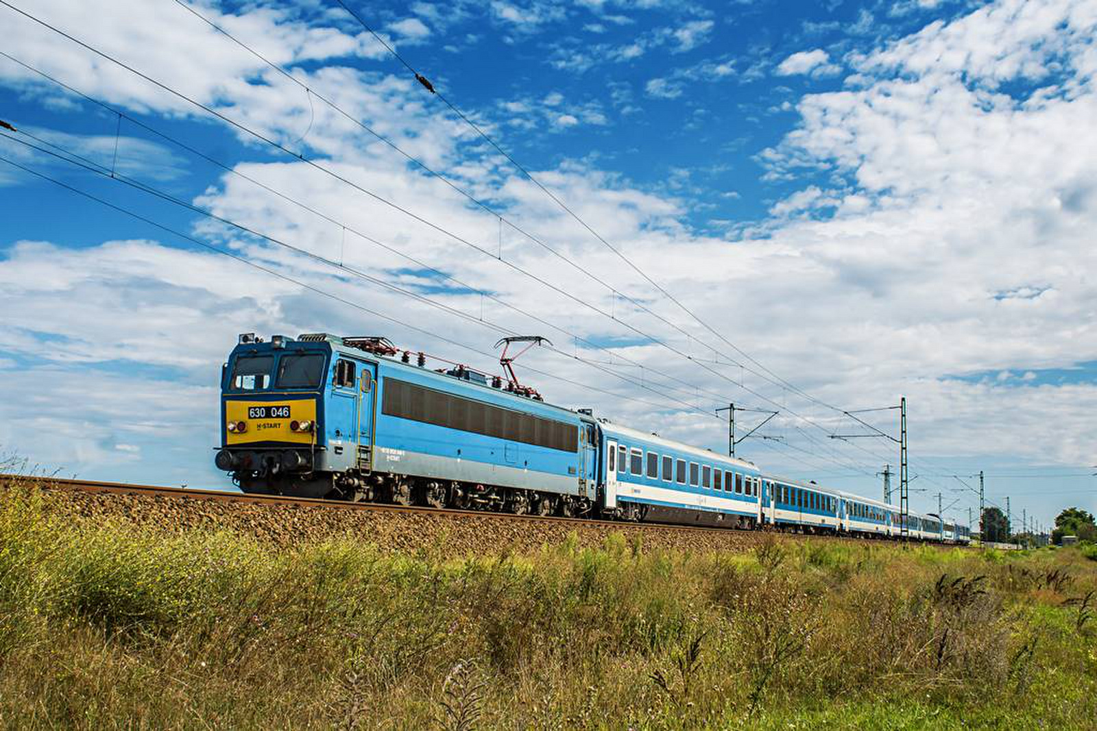 630 046 Tárnok (2020.08.24).