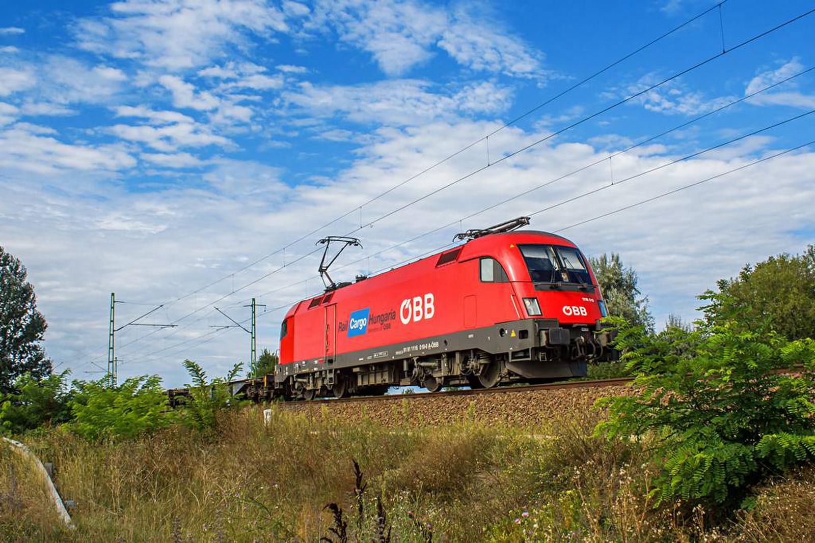 1116 010 Tárnok (2020.08.24).01