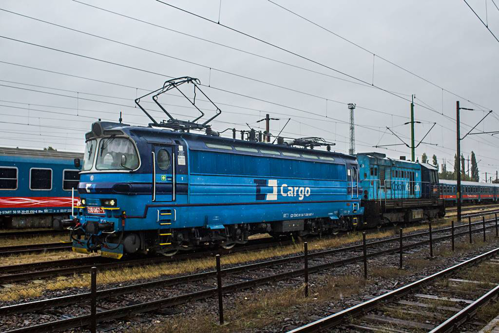 230 067 Rákosrendező (2020.10.13).