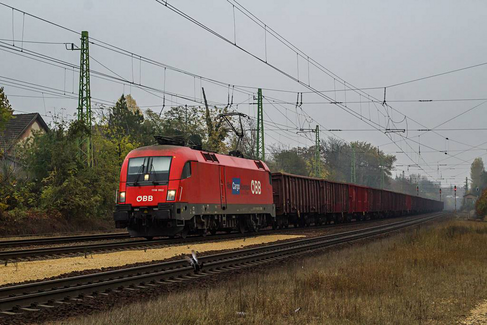 1116 002 Pestszentlőrinc (2020.11.10).