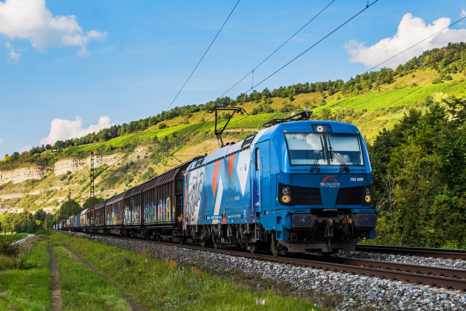 192 009 Thüngersheim (2021.09.05).