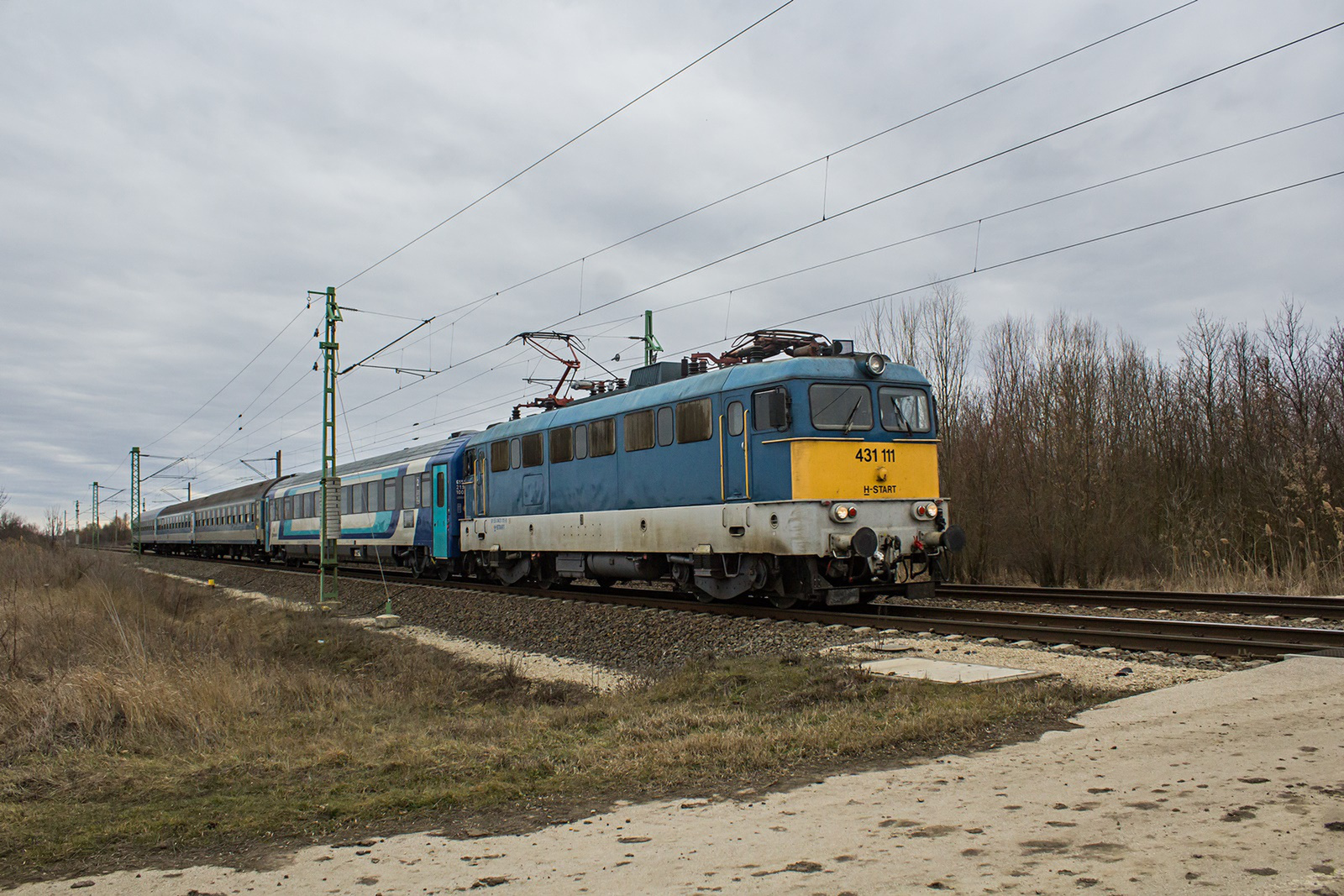 431 111 Murony (2022.02.19).