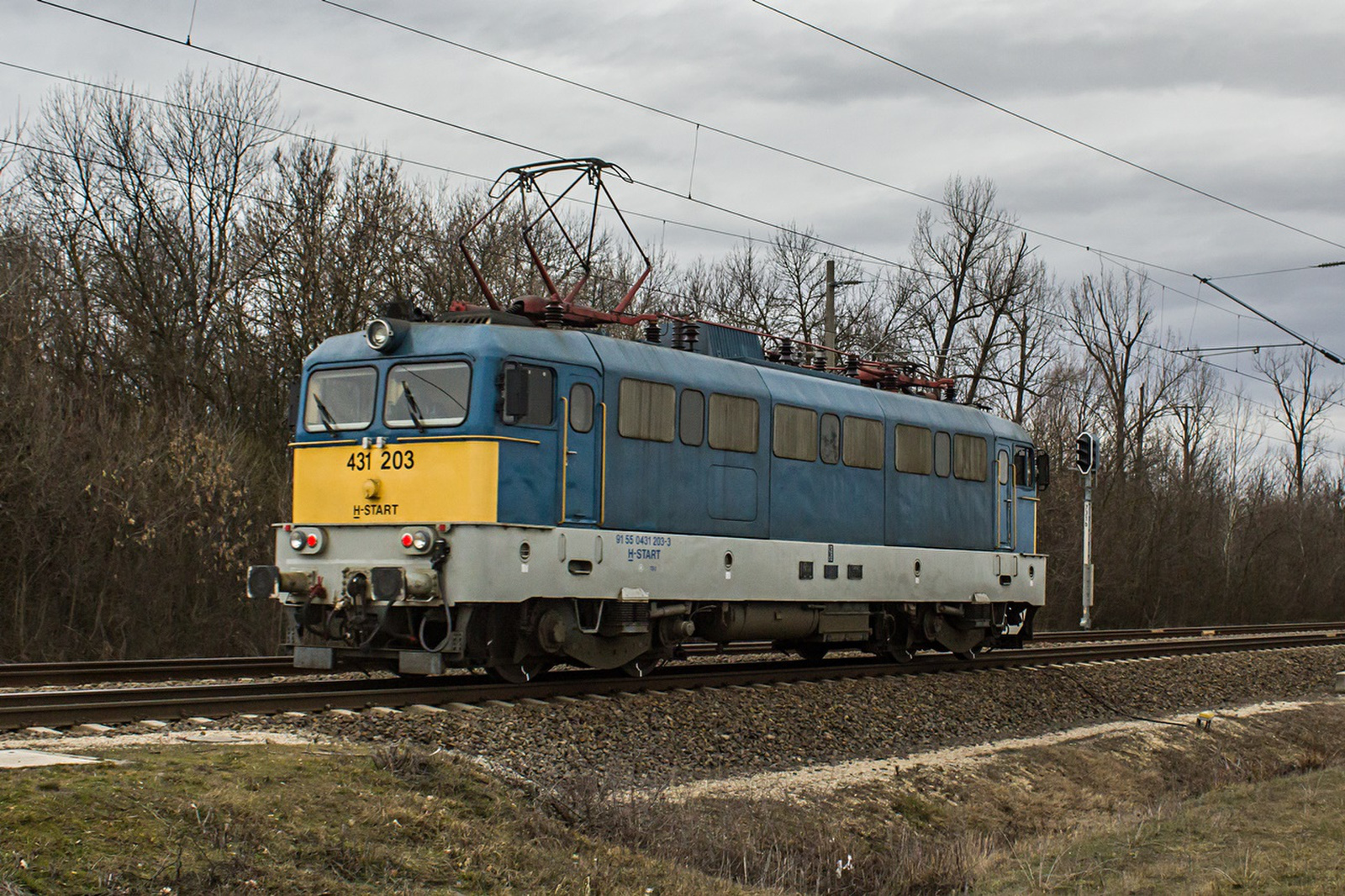 431 203 Murony (2022.02.19).01