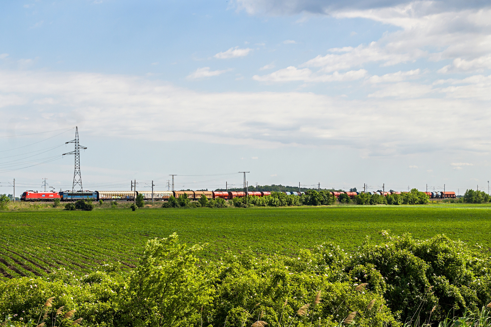 1116 xxx + 630 016 Püspökladány (2022.05.27).