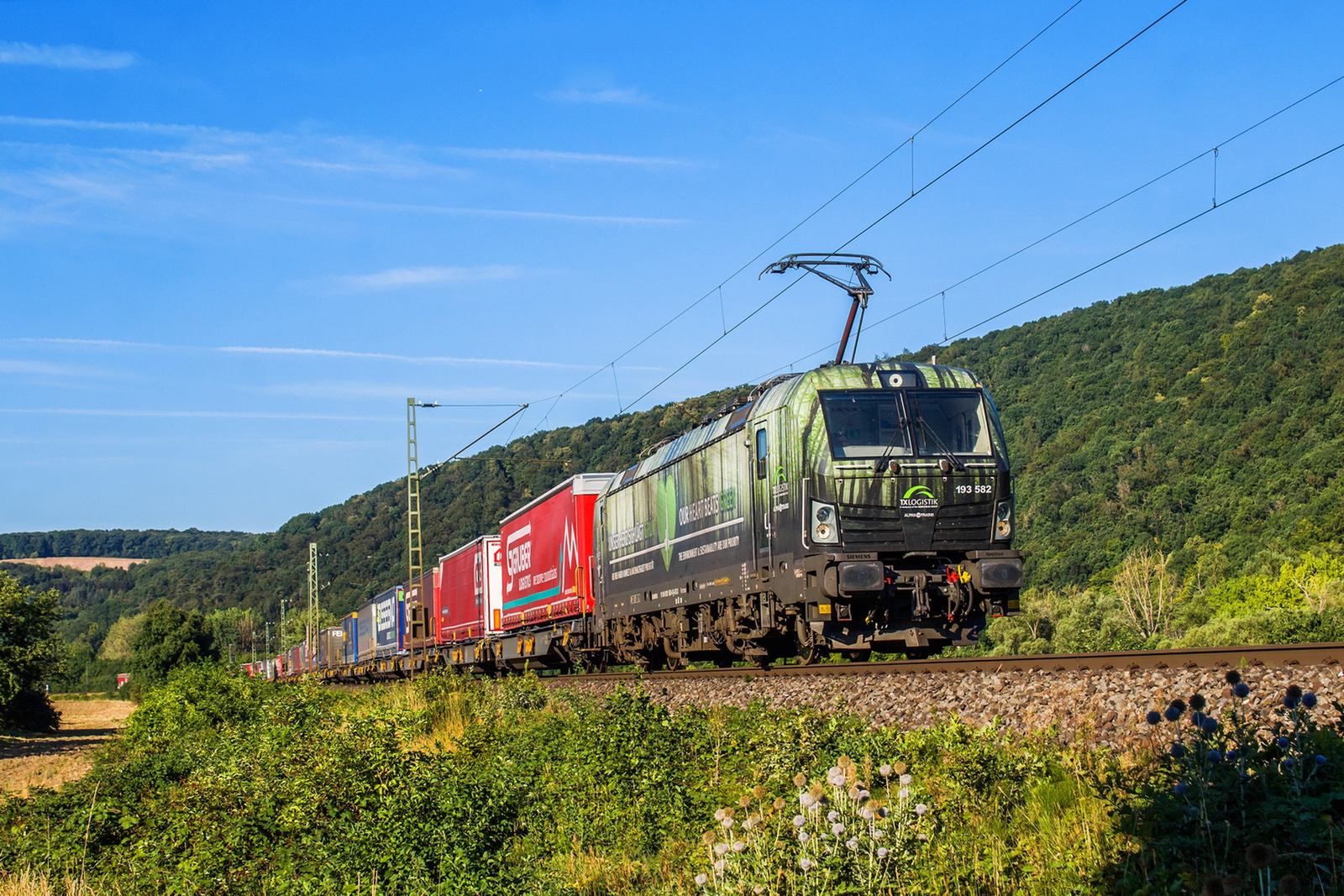 193 582 Wernfeld (2022.08.03).