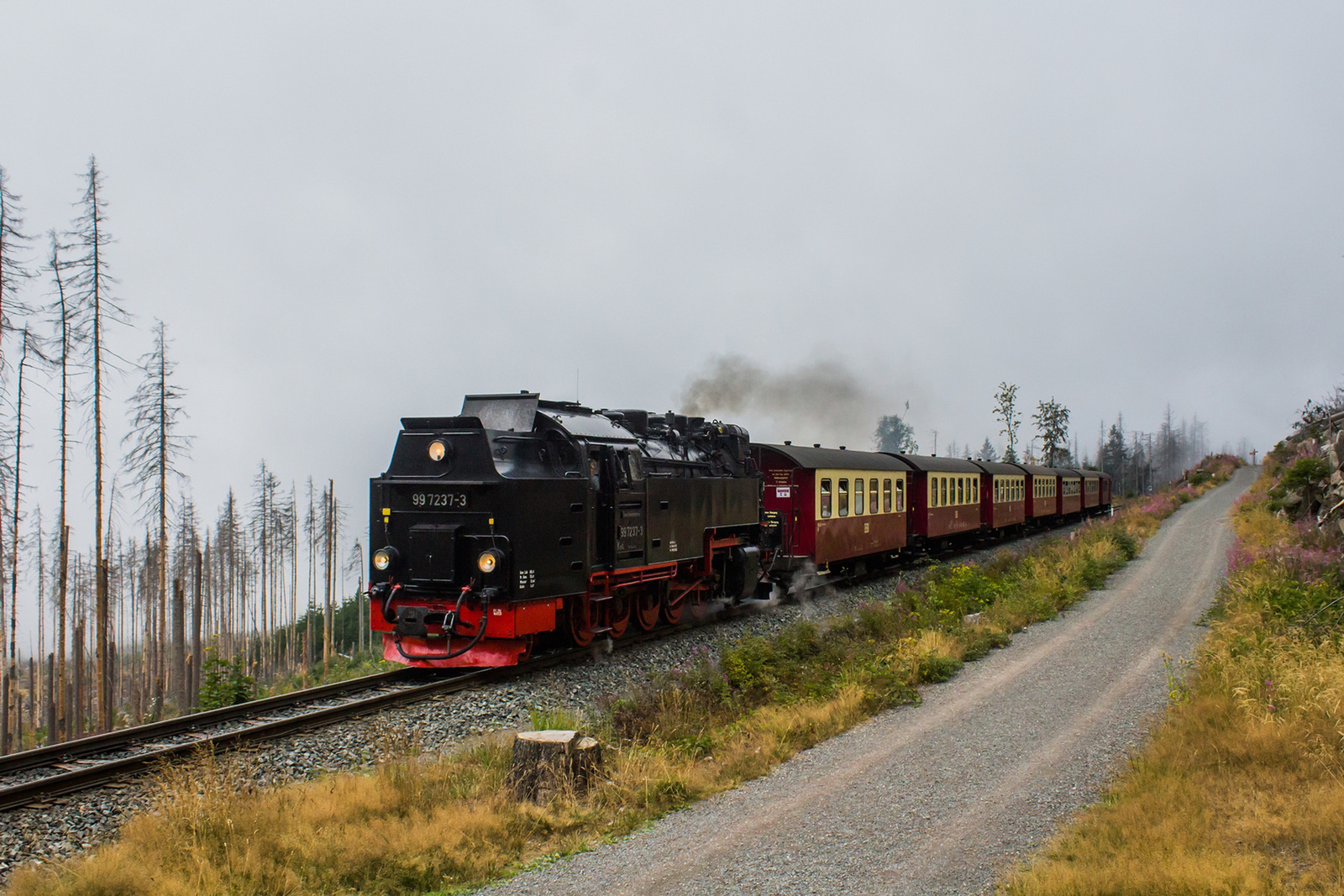 99 7237 Schierke (2022.08.05).