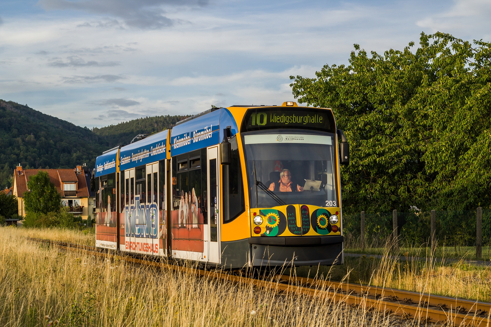 GT4 203 Ilfeld Schreiberwiese (2022.08.05).