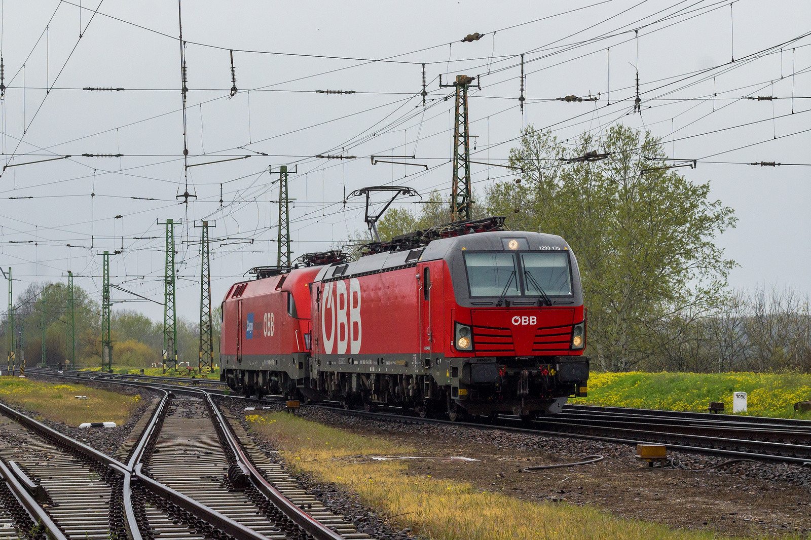 1293 175+1116 009 Szajol (2023.04.10)